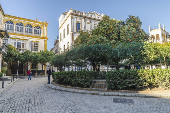 Sevilla 242 - plaza de Santa Cruz.jpg